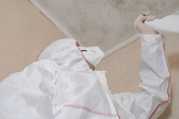 Mold Removal Process in Watonga, OK